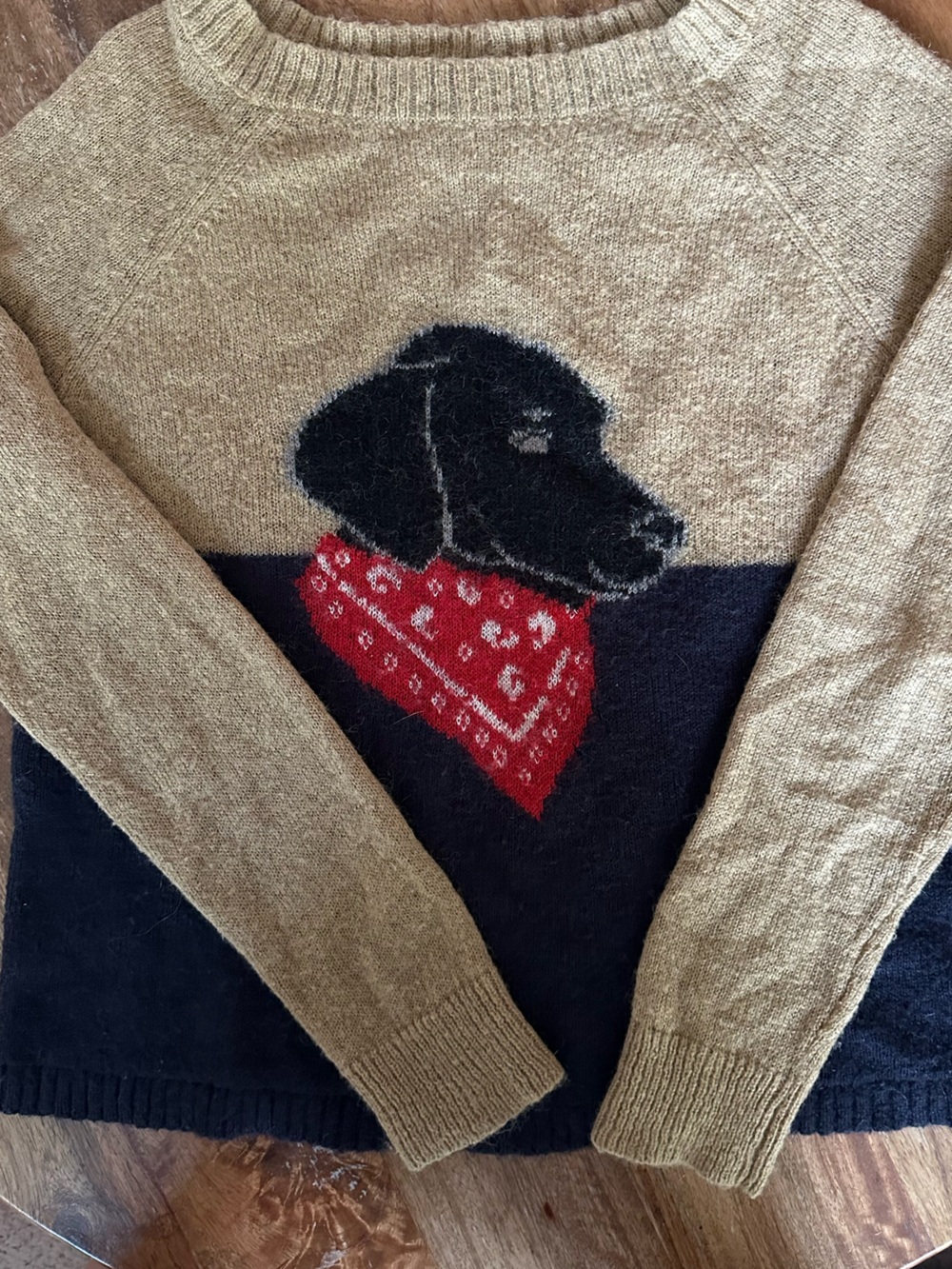 Vintage Woolrich Sweater | M | Black Lab | Bandana | Dog